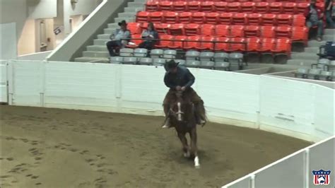 horse prada pepto ridden by jason swan|JK Swan Farms .